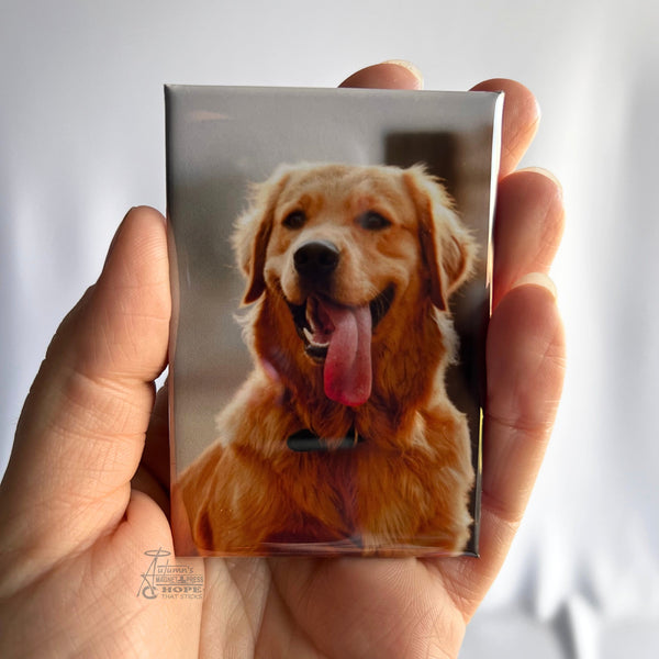 Custom pet photo magnet featuring a golden retriever portrait displayed as a personalized memory keepsake.